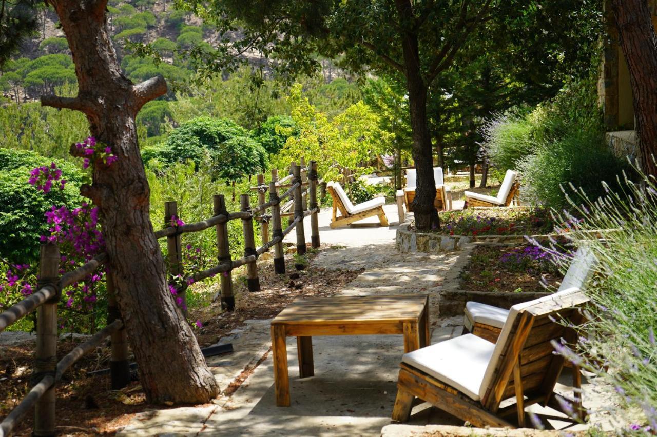 Blue Jay Valley Jezzîne Extérieur photo