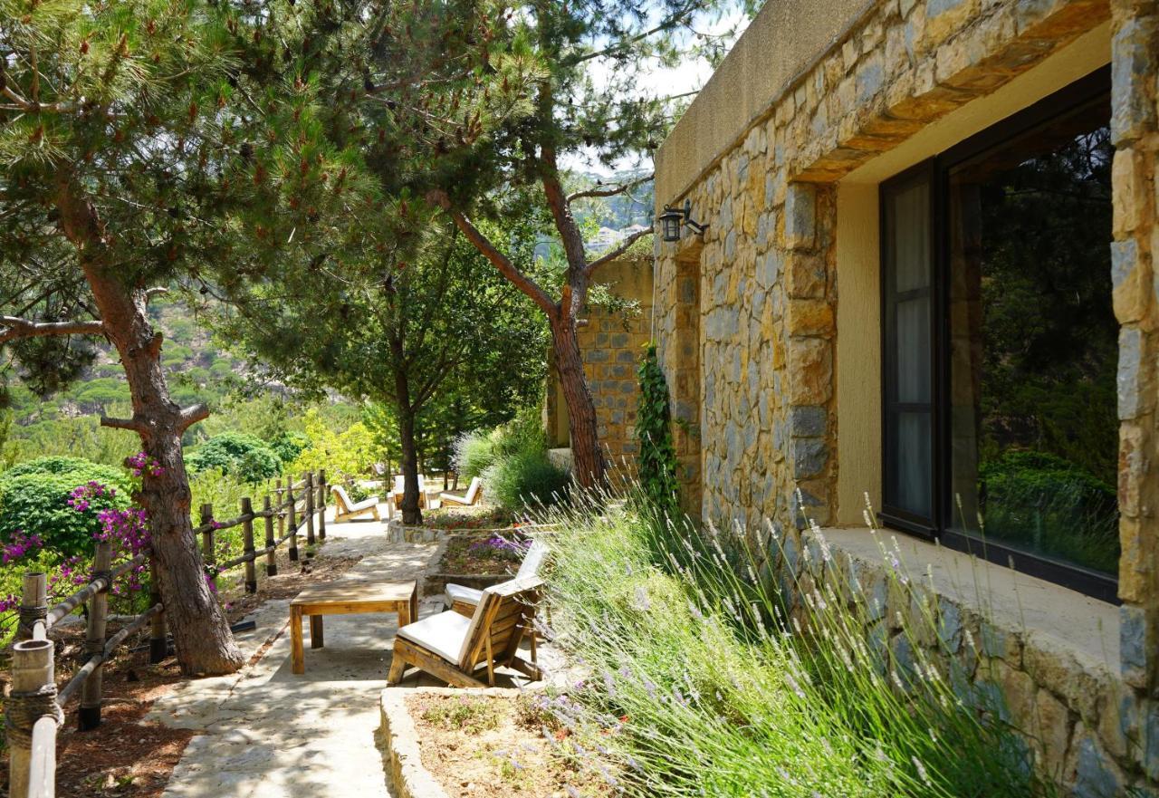 Blue Jay Valley Jezzîne Extérieur photo