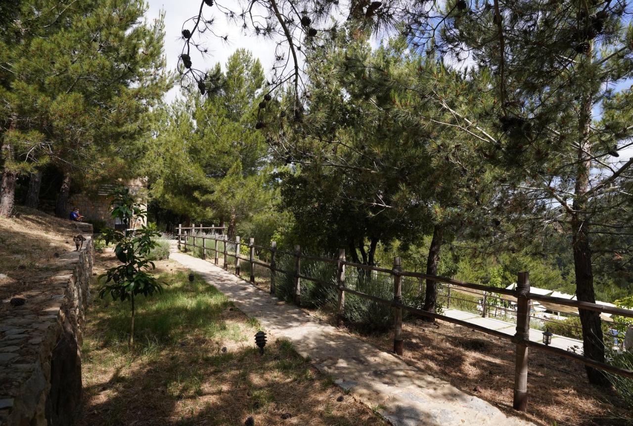 Blue Jay Valley Jezzîne Extérieur photo